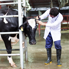Animal welfare