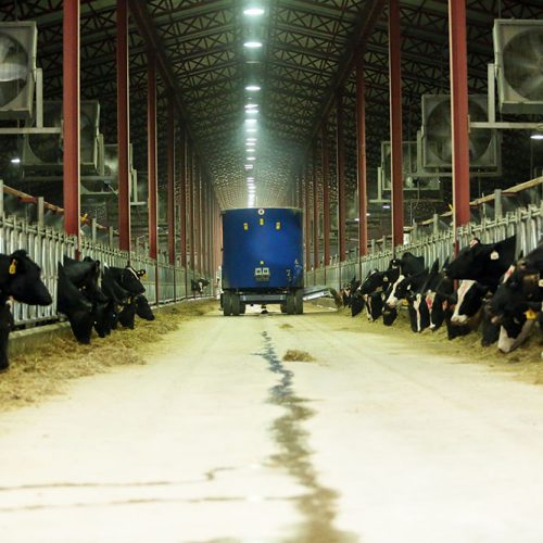 Barn-and-farm