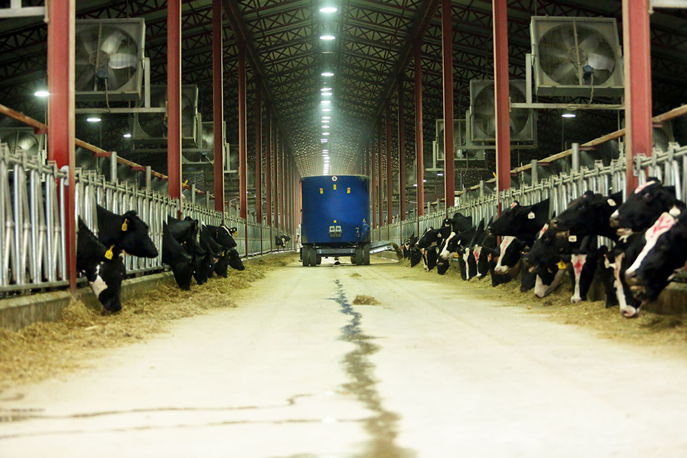 Barn-and-farm
