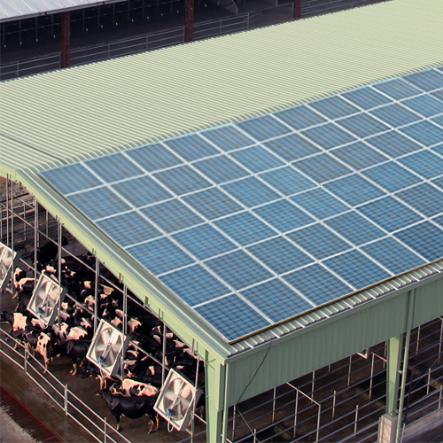 Sustainability