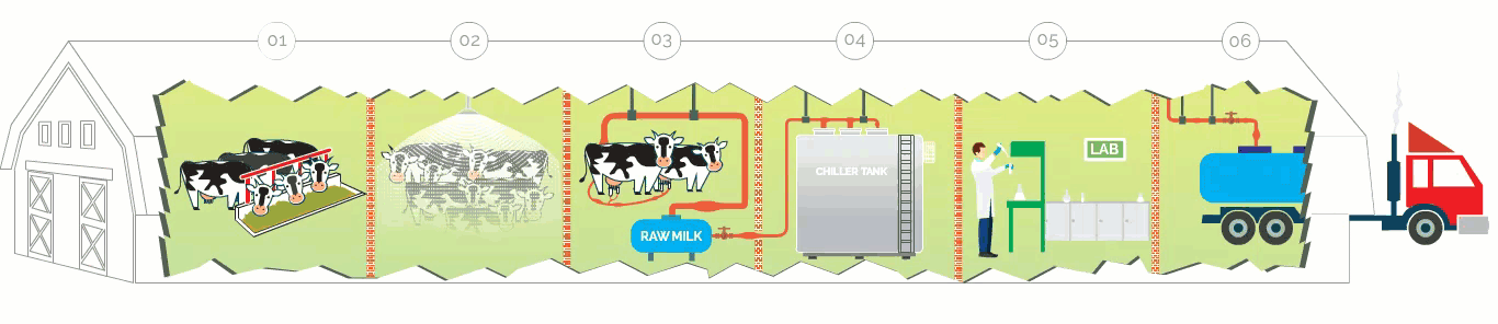 infographics
